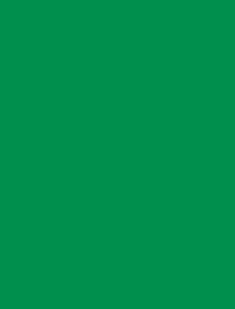 SENSA GREEN 40 5000M.