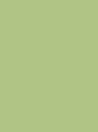 SENSA GREEN 40 5000M.