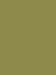 SENSA GREEN 40 5000M.