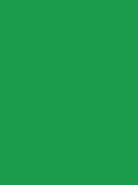 SENSA GREEN 40 5000M.