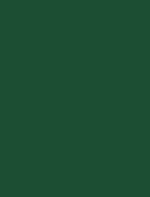 SENSA GREEN 40 5000M.