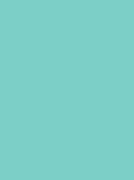 POLYNEON GREEN 40 5000M.