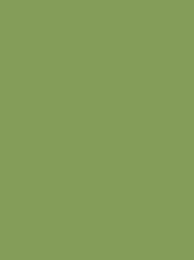 POLYNEON GREEN 40 5000M.