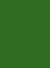 POLYNEON GREEN 40 5000M.
