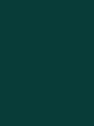 POLYNEON GREEN 40 5000M.