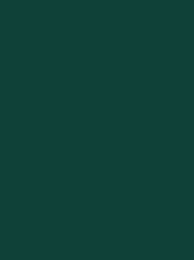 POLYNEON GREEN 40 5000M.