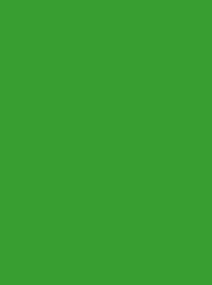 POLYNEON GREEN 40 5000M.