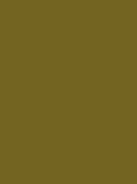 POLYNEON GREEN 40 5000M.