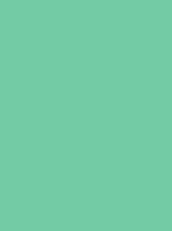 POLYNEON GREEN 40 5000M.