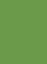 POLYNEON GREEN 40 5000M.