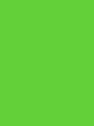POLYNEON GREEN 40 5000M.