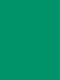 POLYNEON GREEN 40 5000M.