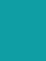 POLYNEON GREEN 40 5000M.