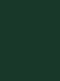 POLYNEON GREEN 40 5000M.