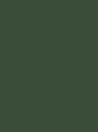 POLYNEON GREEN 40 5000M.