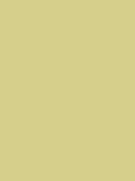 POLYNEON GREEN 40 5000M.