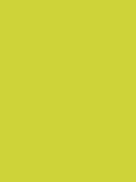 POLYNEON GREEN 40 5000M.