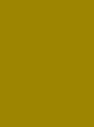 POLYNEON GREEN 40 5000M.