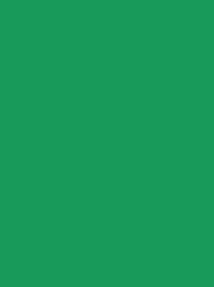 POLYNEON GREEN 40 5000M.