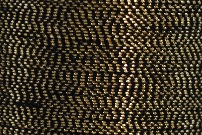 FS 2/2 20 20GR. C/424