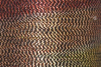 FS 2/2 20 20GR. C/482
