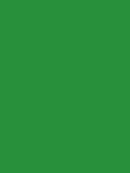 SENSA GREEN 40 5000M.