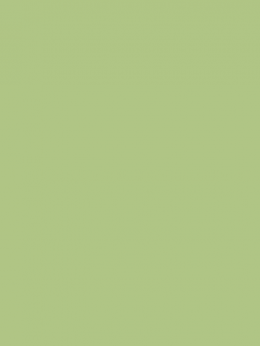 SENSA GREEN 40 5000M.
