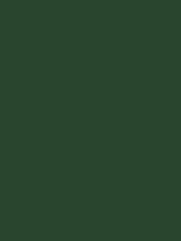 SENSA GREEN 40 5000M.