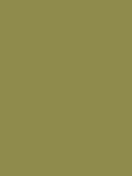 SENSA GREEN 40 5000M.