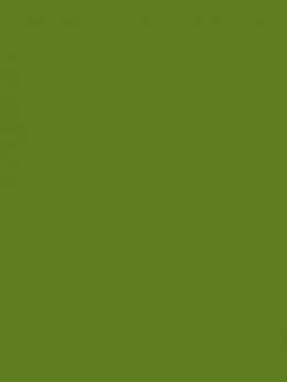 SENSA GREEN 40 5000M.