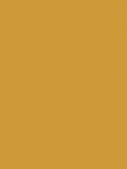 SENSA GREEN 40 5000M.