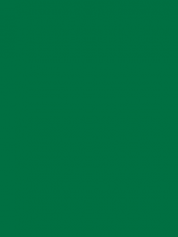 SENSA GREEN 40 5000M.