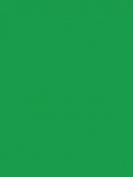 SENSA GREEN 40 5000M.