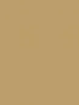 SENSA GREEN 40 5000M.