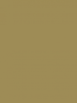 SENSA GREEN 40 5000M.