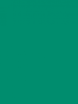 SENSA GREEN 40 5000M.