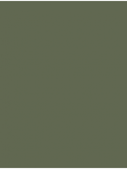 SENSA GREEN 40 5000M.