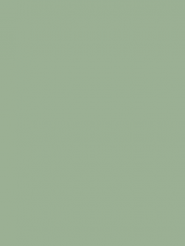 SENSA GREEN 40 5000M.