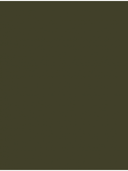 SENSA GREEN 40 5000M.