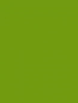 SENSA GREEN 40 5000M.