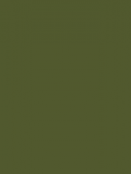 SENSA GREEN 40 5000M.