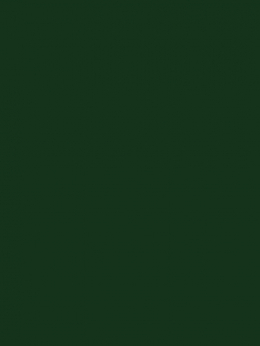 BURMILANA 12 1000m
