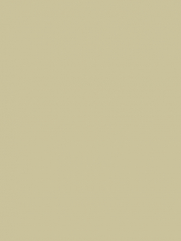 BURMILANA 12 1.000m.
